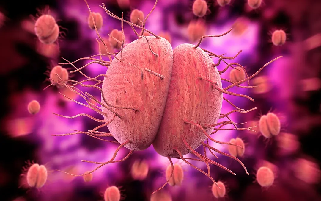 Gonorrhea